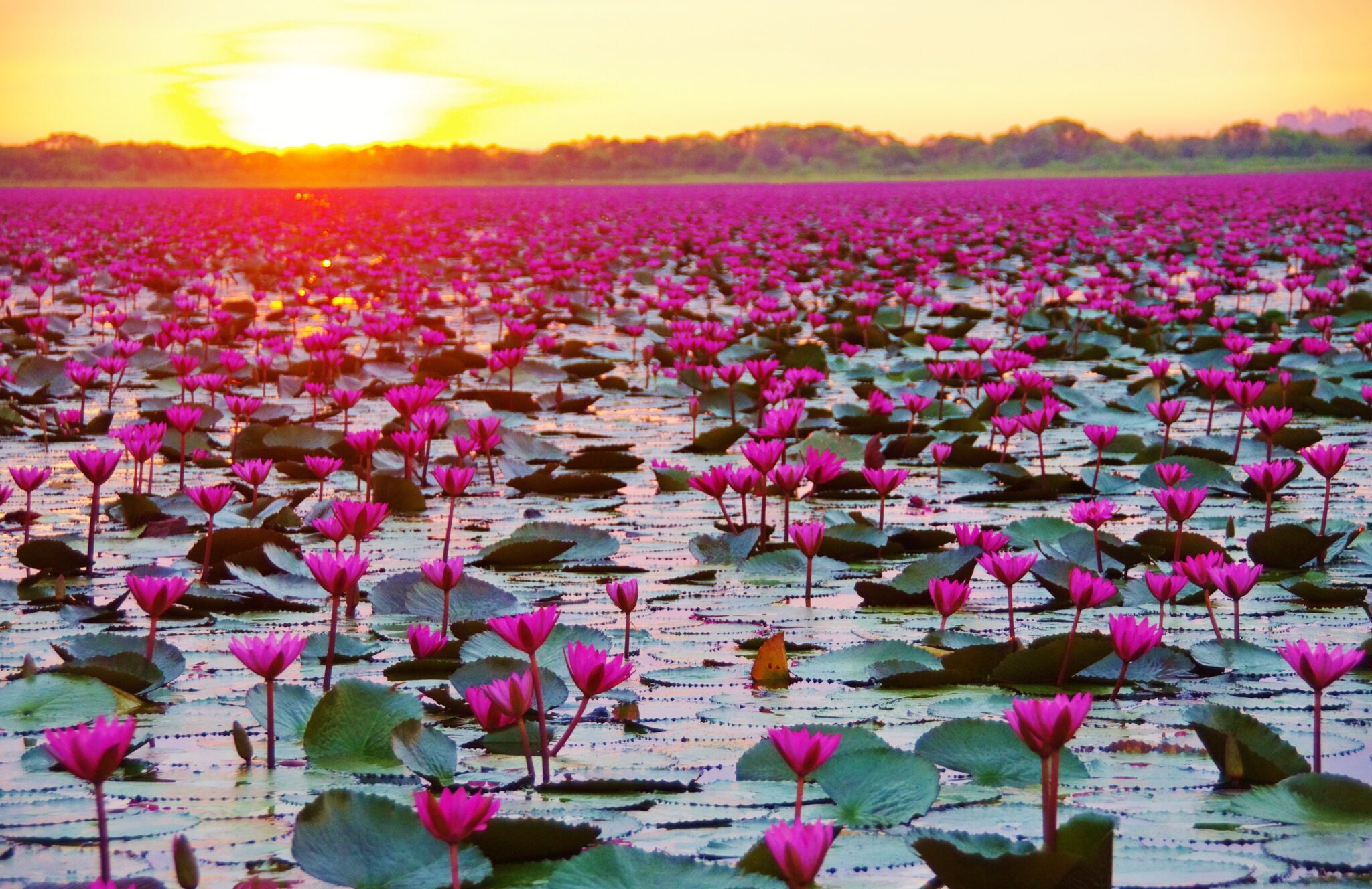タレーブアデーンの湖上で迎える幻想的な朝焼けと朝日
