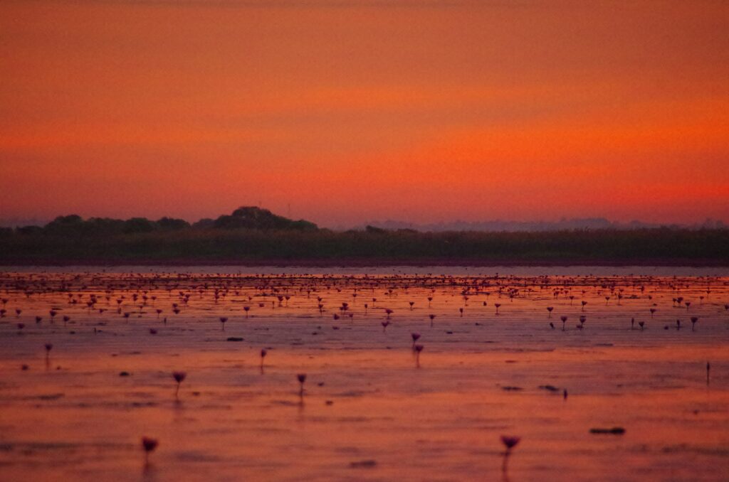 タレーブアデーン（ノーンハン湖）で見た真っ赤に染まる空の朝焼け