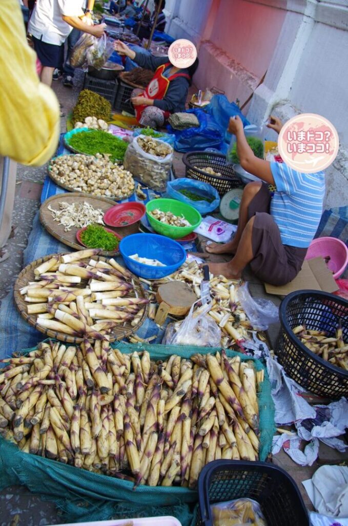 ルアンパバーンの朝市で、大量のたけのこやハーブを売る屋台を撮った写真