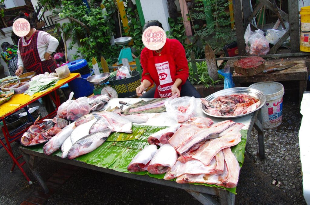 ルアンパバーンの朝市で、大きな魚を切り分けているその場面を撮った写真