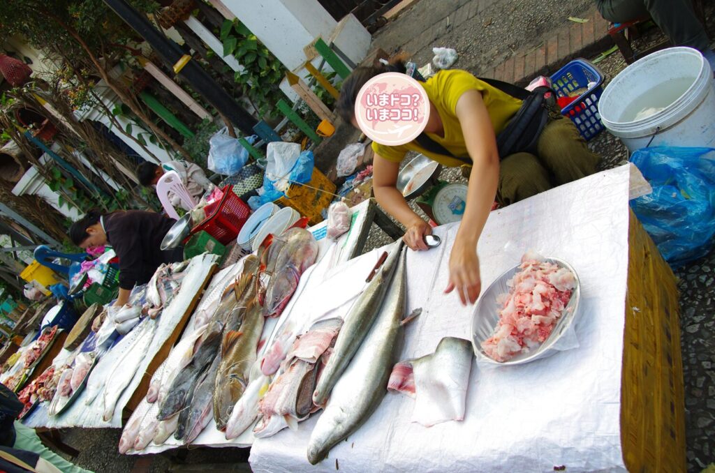 ルアンパバーンの朝市で、大きな魚を切り分けている屋台を撮った写真