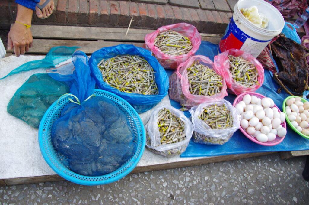 ルアンパバーンの朝市で、生きたカエルや生卵などを売る屋台を撮った写真