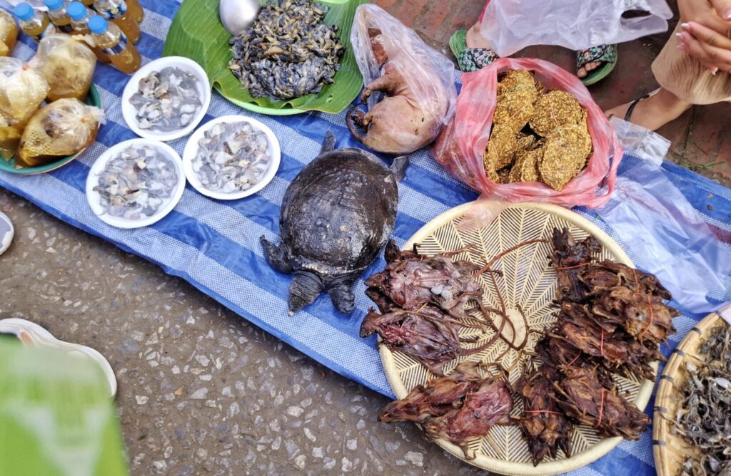 ルアンパバーンの朝市で、すっぽんやカエルの干物などを売る屋台を撮った写真