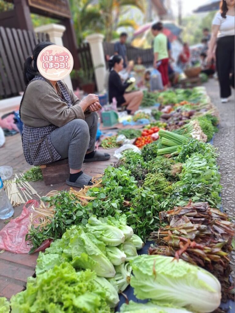 ルアンパバーンの朝市で、野菜やハーブを売る屋台を撮った写真