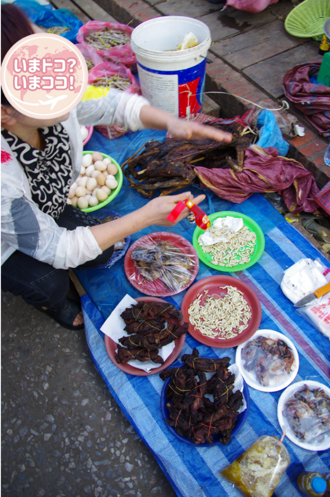ルアンパバーンの朝市で、昆虫やイモムシなどを売る屋台を撮った写真