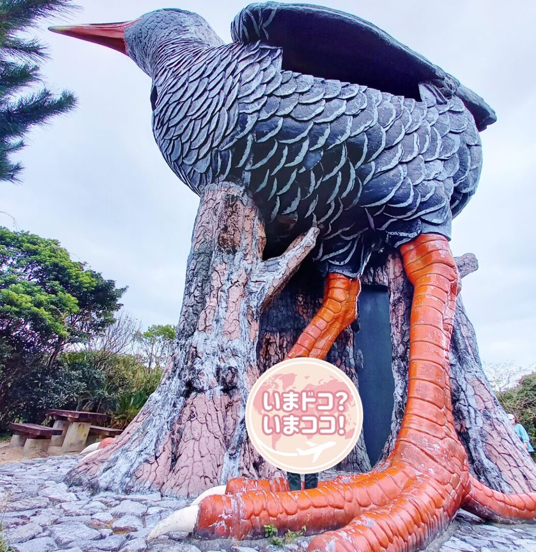 沖縄の北部にあるヤンバルクイナ展望台に行った際に筆者が撮った写真