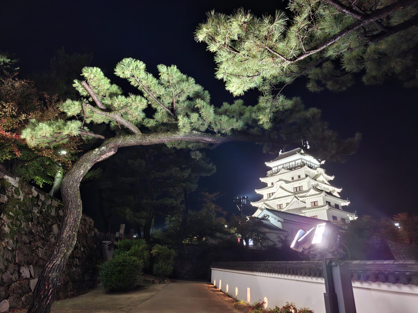 筆者が訪れた福山駅前の福山城がライトアップされている様子を撮った写真