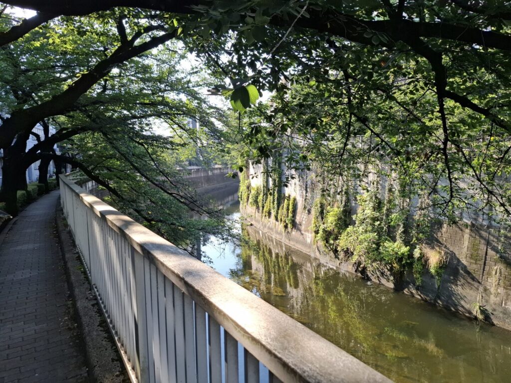 筆者が訪れたホテル椿山荘からリーガロイヤルホテル東京に向かう際に桜の木で日陰になっている神田川を撮った写真