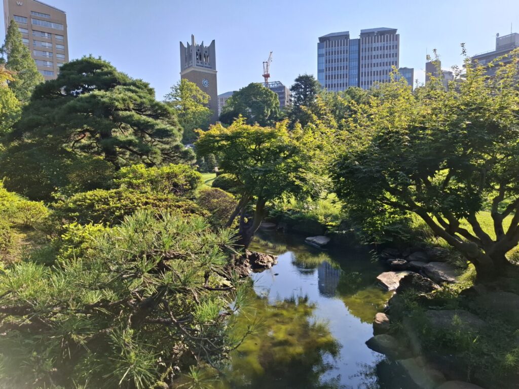 筆者が訪れた大隈庭園で、池の奥に大隈講堂が映っている様子を撮った写真