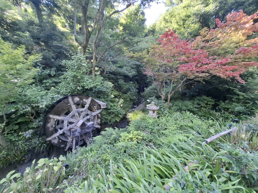 筆者が訪れた目白にあるホテル椿山荘の庭園にある水車と少し色づいた紅葉を撮った写真