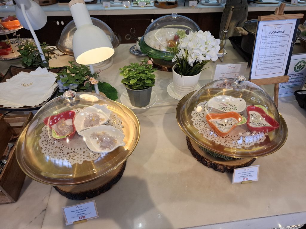 筆者がドンムアン空港で訪れたコーラルラウンジのタイ料理のデザートを撮った写真